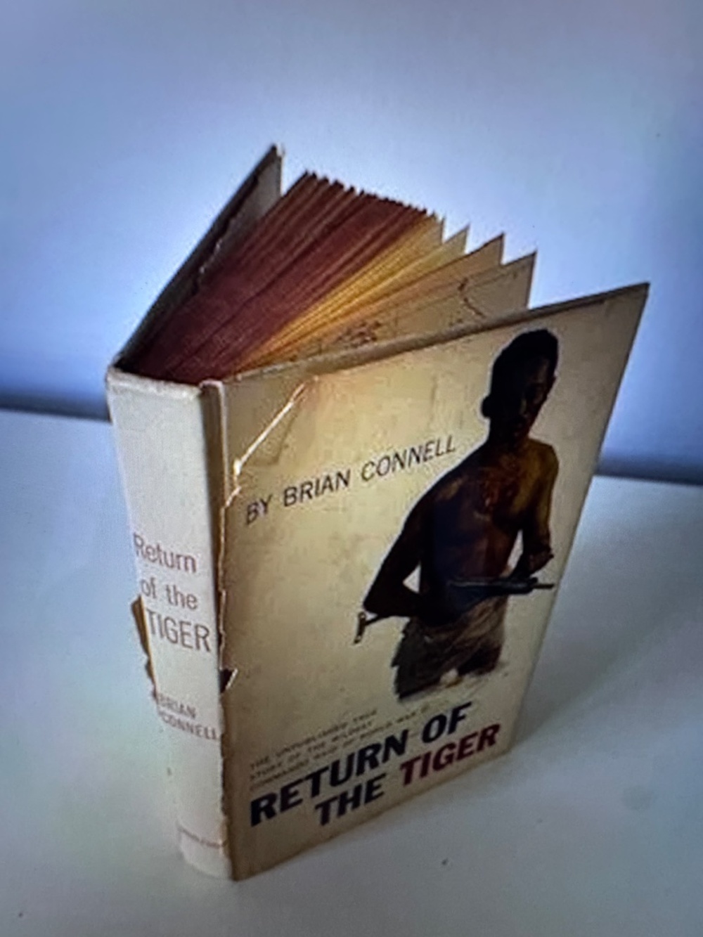 Return Of The Tiger - Picture 7 of 8